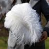 10Pcs White Ostrich Feather 15-50cm Large Fluffy Feathers for DIY Crafts Wedding Table Centerpieces Decoration Accessories