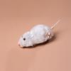 1Pcs Funny Lifelike Plush Mouse Running Rat Toy for Cats Dogs Pets Kids Random Color