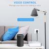 Tuya Wifi Intelligent Socket Remote Control WiFi Plug Wireless Remote Voice Control Timer Smartplug