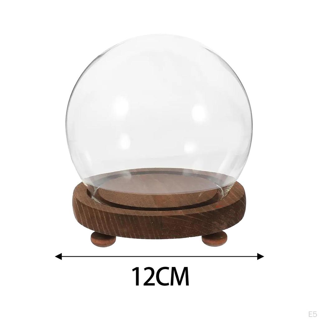 Clear Glass Container for Micro Landscape and Floral Displays