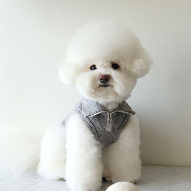 chiot soft sleeveless half-zip-up (soft gray)