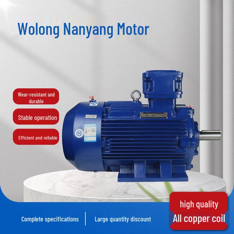 Wolong Nanyang YBX3-H Low-Voltage Marine Explosion-Proof Three-Phase Asynchronous Motor