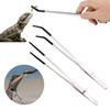 2 Pcs Stainless Steel Reptile Feeding Tongs with Rubber Tip Long Straight Curved Tweezers Bearded Dragon Snake Tank Accessories Terrarium Supplies