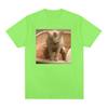 Футболки с надписью «Kitty Cat Take A Poop Kitten Joke», мужские и женские забавные футболки с короткими рукавами и мемами, летняя модная повседневная хлопковая футболка, топы