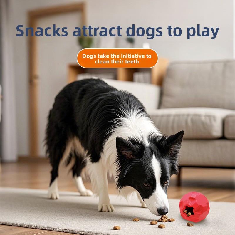 New Dog Toy, Multi-functional Leaky Lead Ball, Small Dog Interactive Educational Toy, Natural Rubber Pet Toy Ball