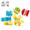 LEGO DUPLO My First 10477 Les Jolis Animaux Créatifs 3-en-1 - Jeu Créatif 1 an - Motricité