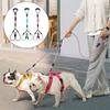 Wave Pattern Two Dog Lead Rope Anti-Winding Pet Walking Rope Anti-Tangle Dual Dog Leash  Small Dogs
