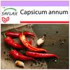 Chili - De Cayenne - 20 Seeds - Capsicum Annum