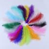 100 Pack Diy Feather Tip Down Colorful Turkey Feathers 
