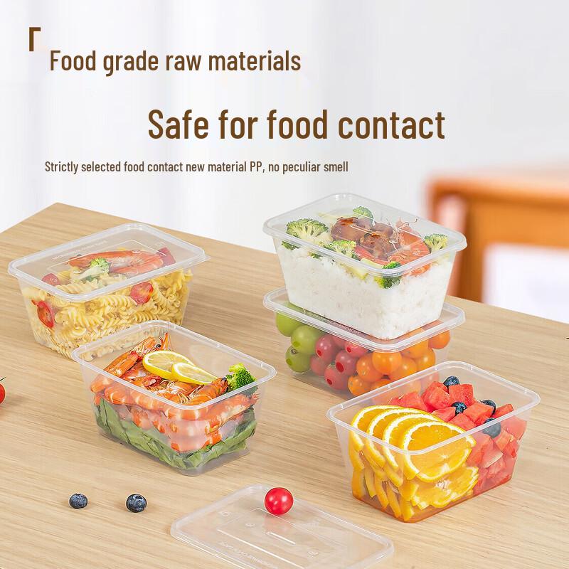 Temeiju Disposable Rectangular Food Containers with Lids (10-Pack)