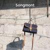 Мини Сумка через плечо Songmont Commuter