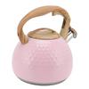 Tea Kettle 3L Teapot 304 Stainless Steel Household Whistling Tea Kettle Water Kettle Tea House Accessories