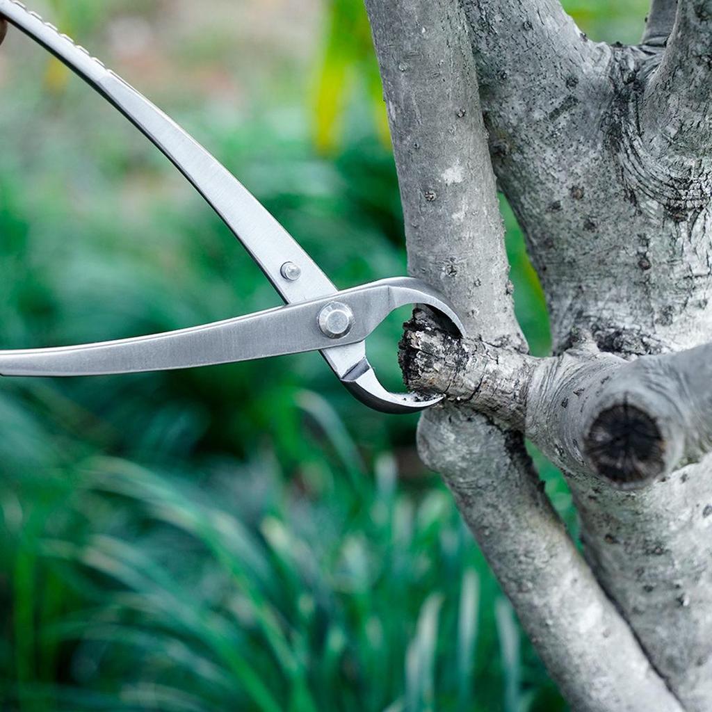 Bonsai Shaping Tools: Round & Oblique Mouth Shears, Ball Joint Pliers, Gardening Flower Pruners, Tree Burl Pruners.