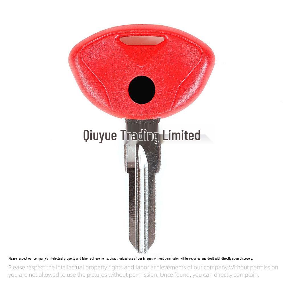BMW Motorcycle Key Blank for C1, C600, C650GT Pedals - Chip Compatible