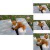 Captivating Colors And Realistic Details Simulated Fox Plush Toy For Collectors And Animal Lovers