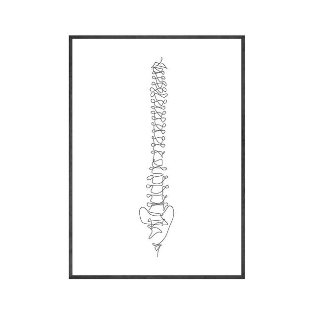 Анатомический скелет, одна линия постеры и принты, анатомический рисунок сердца, иллюстрации, холст, картины для подарка, декор для клиники