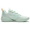 Баскетбольные кроссовки Li Ning Wade Allday Durable Breathable Low Top мужские кроссовки зеленые ABPT007-3