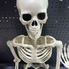 Realistic Full Body Human Bone Halloweens Props Flexible Joints Portable Plastic Indoor Outdoors Decoration