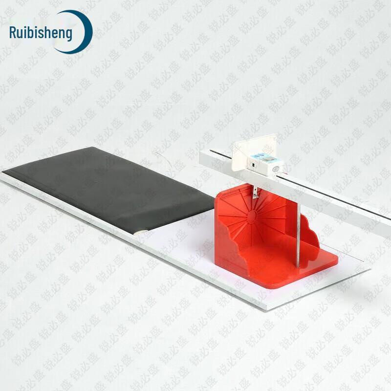Ruibisheng Student Physical Fitness Testing Equipment