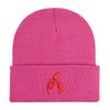 New flame embroidered knitted hat for men and women wool hat