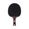 Lion Typhoon Table Tennis Bat