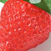 60Pcs Artificial Strawberries Lifelike Simulation Red Strawberry Plastic Fake Fruit for Table Centerpiece Photo Prop