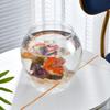 Portable Transparent Round Fish Tank Clear Desktop Aquarium Bowl Fish Bowl  Small Aquariums