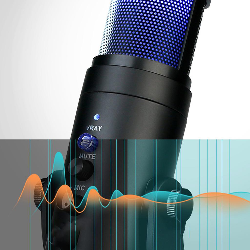 Computer Mobile Phone Recording Game Sound Card Wired Live Karaoke Condenser Microphone Conference Microphone Full Set