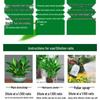 Hydroponic Nutrient Fertilizer for Indoor Green Plants, Lucky Bamboo, Money Trees, Flowers, and Vegetables in Potted Soil.