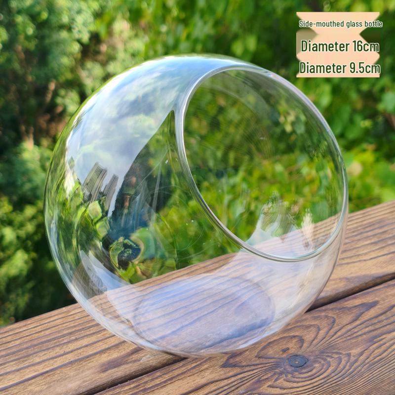 Moss Micro Landscape Glass Bottle: Creative Mini Plant DIY Paludarium