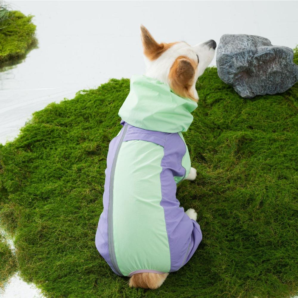 Новая одежда для домашних питомцев, маленьких и средних собак, которую можно носить в любое время года, водонепроницаемая, дождестойкая и влагозащищенная одежда для прогулок в дождливую погоду