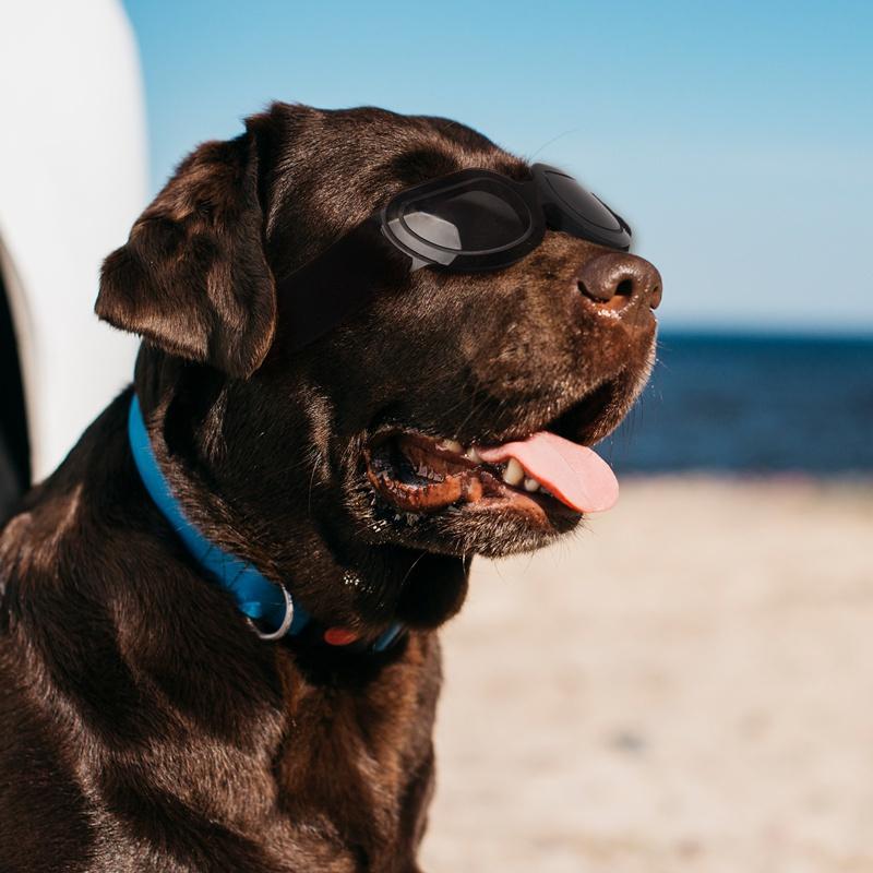 Защита от ультрафиолета для собак, солнцезащитные очки с защитой от запотевания, защита от износа глаз с регулируемым ремешком
