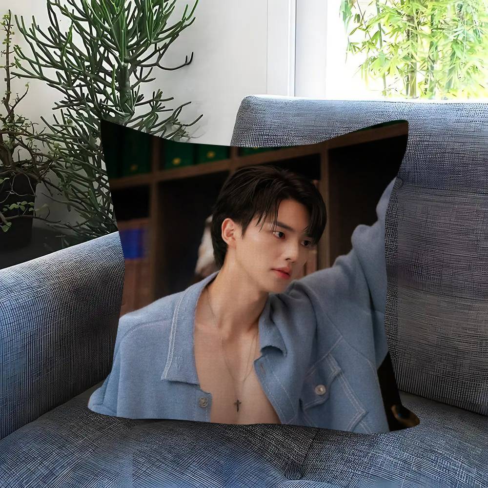 Kpop Actor Hot SSong Kang Pillow Gift Home Office Decoration Bedroom Sofa Car Cushion Cover case 45x45