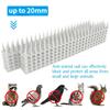 1pc Outdoor Plastic Security Fence Spikes Cat Bird Repellents Available On Orchard Farms for Pigeons Raccoon Transparent Spikes