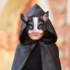 Exquisite Face Cover Realistic EVA Halloween Pig Shape Party Face Cover for Gifts