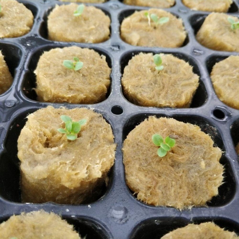 50PCS Hydroponic Substrate Rock Wool Plug Garden Sponge Nursery Block Plant Propagation