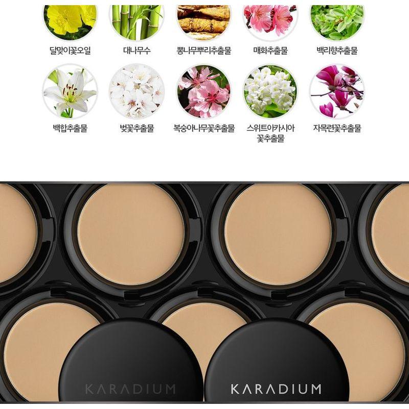 KARADIUM - Коллагеновая умная пудра-хайлайтер SPF50+ PA+++ 11.5г
