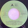 7-дюймовая пластинка PAOLO ORMI - Provaci Anche Tu Lionel FLIES4553 Four Flies Reco 2023 UK Джаз