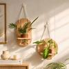 Wooden Wall Hanging Planter Holder Home Ornaments Hydroponic Planter Shelf  Hydroponics