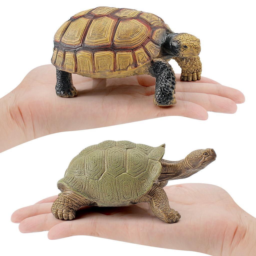 Simulation Amphibian Reptile Model Tortoise Tortoise Star Tortoise Static Decoration Cognitive Ornament Toy