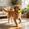 High Elasticity Pet Toy Ball Latex Squeaky Toy Ball Molar Ball Teeth Cleaning Toy  Pet Supplies