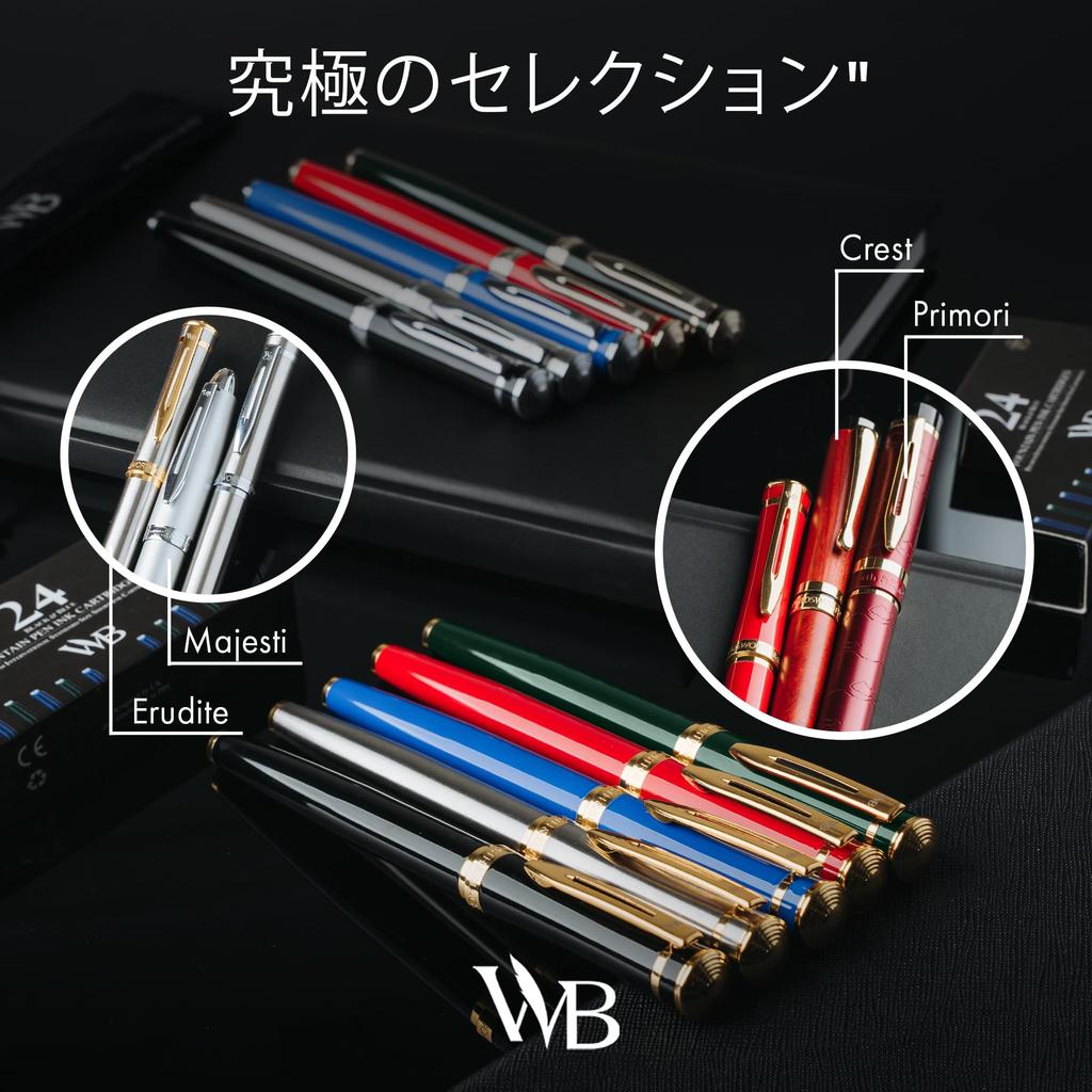 Wordsworth and Black Fountain Pen Luxury Medium Nib Fountain Pen Set Includes 24 Ink Cartridges Refillable Fountain Pen Ink Converter [Silver Gold]-