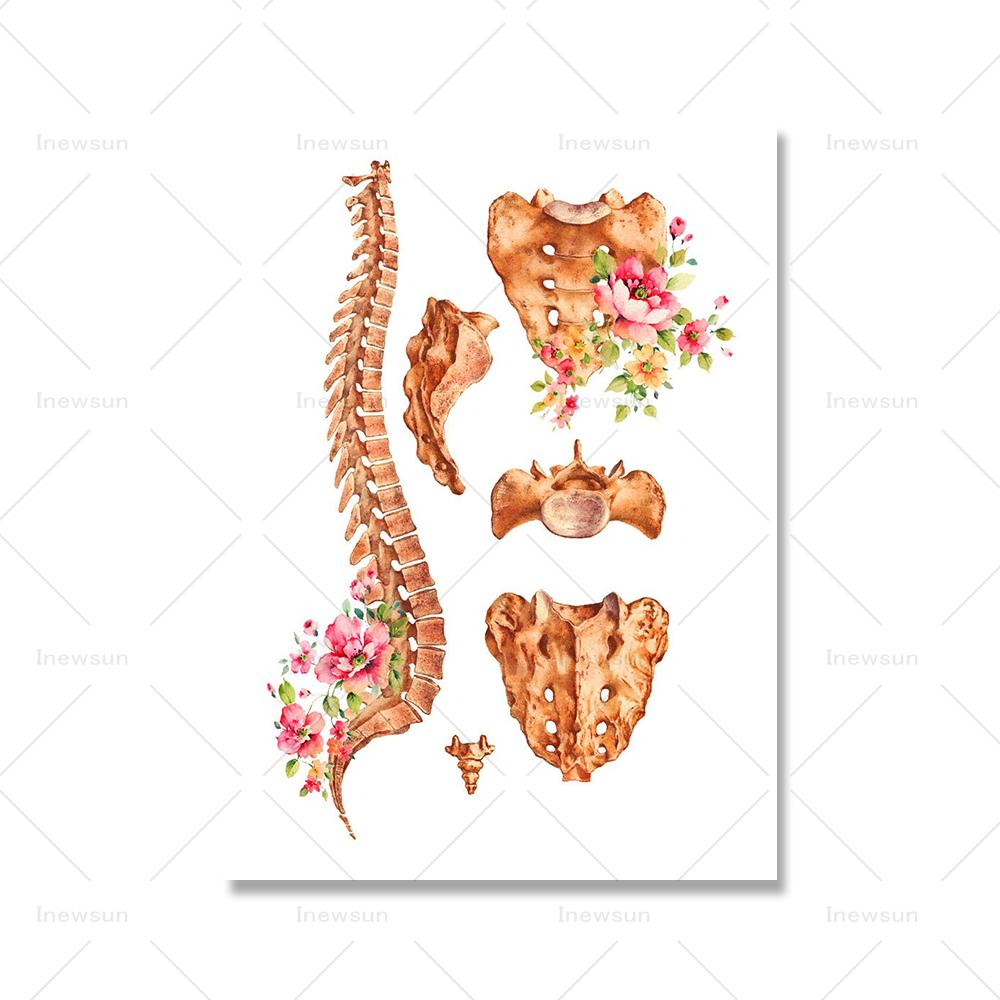 Скелетная система человека Canavs живопись функции скелета плакат с цветочным принтом анатомия человеческого тела настенная картина доктор офисный декор