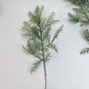 Natural Dried Pine Cones for Christmas Tree Decoration, Photography Props, Floral Wreaths, and Bouquets.