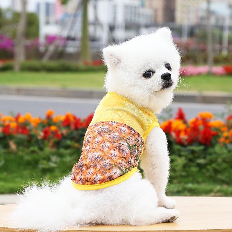 Dog Cat Puppy Kitten Pet Cartoon Spring Summer Autumn Cotton Clothes Clothing Vests Coats Jackets Shirt Dresses Costume