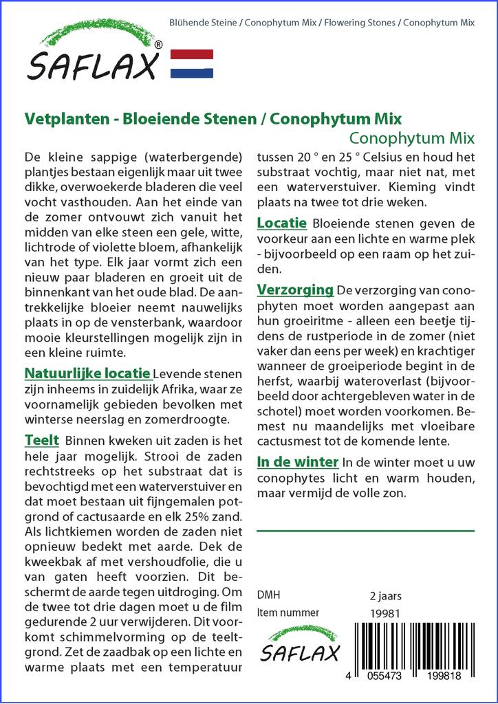 SAFLAX Garden in the Bag - Цветущие камни / Conophytum Mix - 40 семян - С субстратом в подходящем стоячем пакете - Conophytum Mix