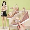 2025 New Thick Soled Fishmouth 4 Shoes Roman High-heeled Fashion Fairy Women's Shoes