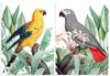 Set of Two Posters with Parrots