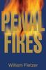 Книга Penal Fires