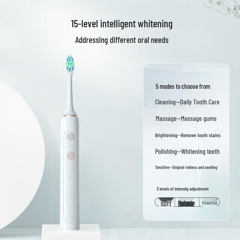SID RT860 Sonic Electric Toothbrush